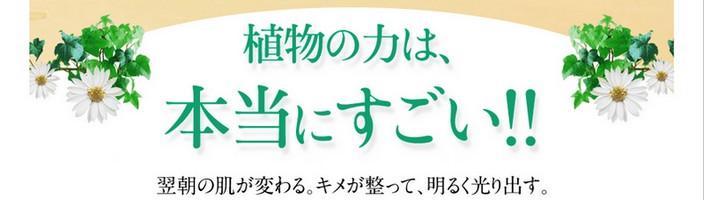 �R�A�E�G�C�W���O�P�A�y�A���f�R�[�����@�\���e�I�C���z���T�C�g